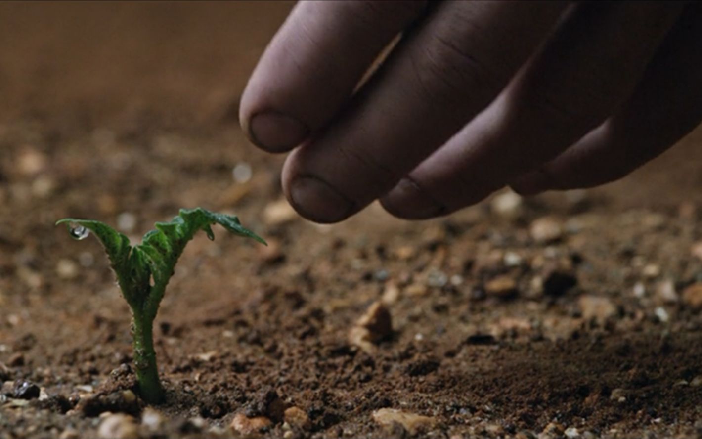 被意外遗忘在火星上的宇航员，靠种植一种农作物生存了561天，方式有点聪明！