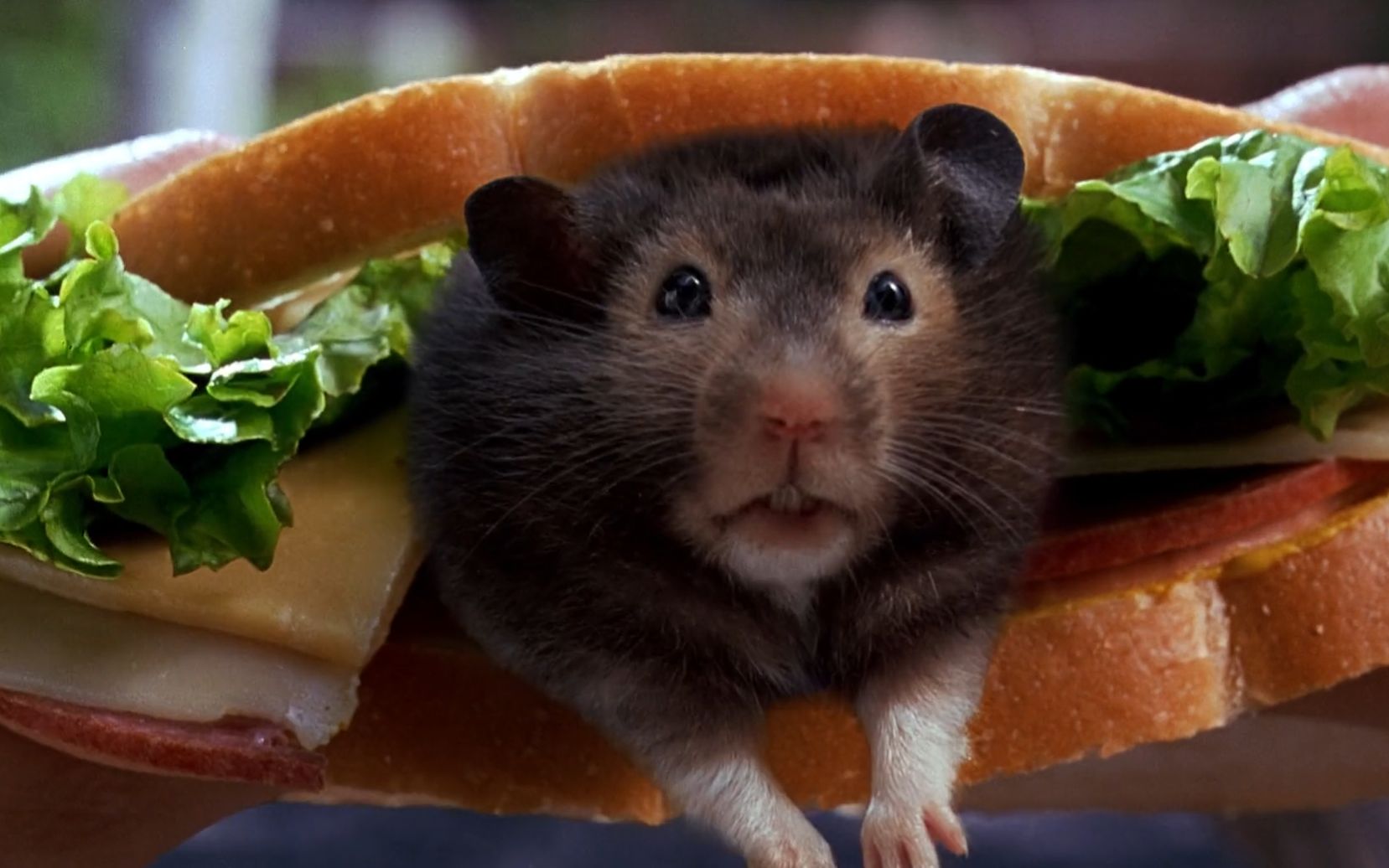 美女正在吃三明治，突然出现一只老鼠，求她此刻心理阴影面积