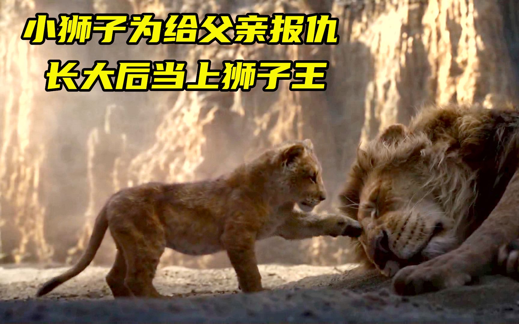 奇幻片：小狮子为了给父亲报仇，长大后成为了狮子王！