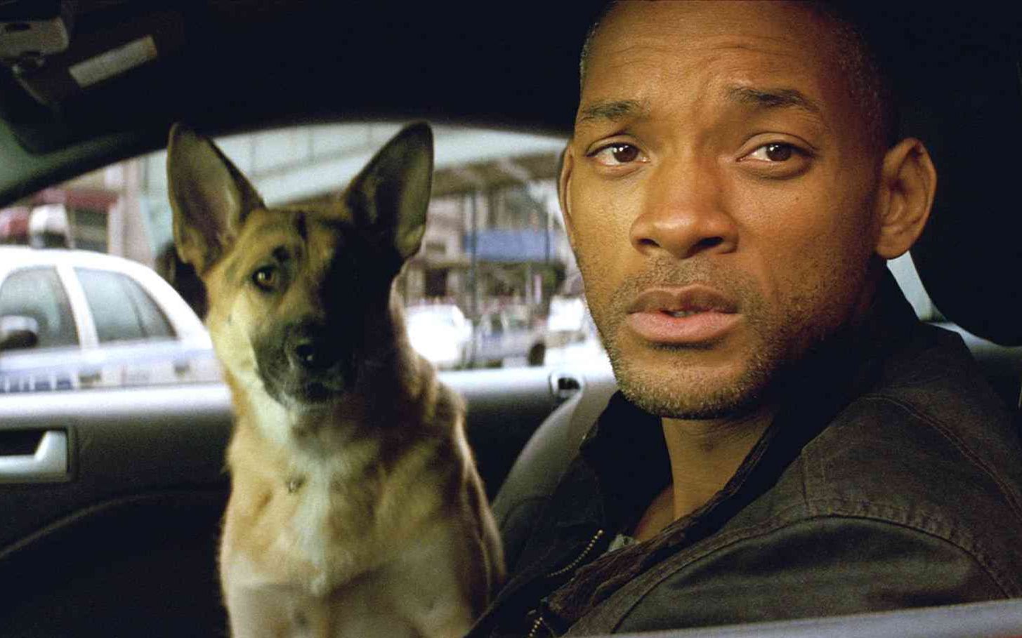 开局一人一狗，这不是广告，这是电影《我是传奇》英勇的狗狗为了救主人被咬死了。