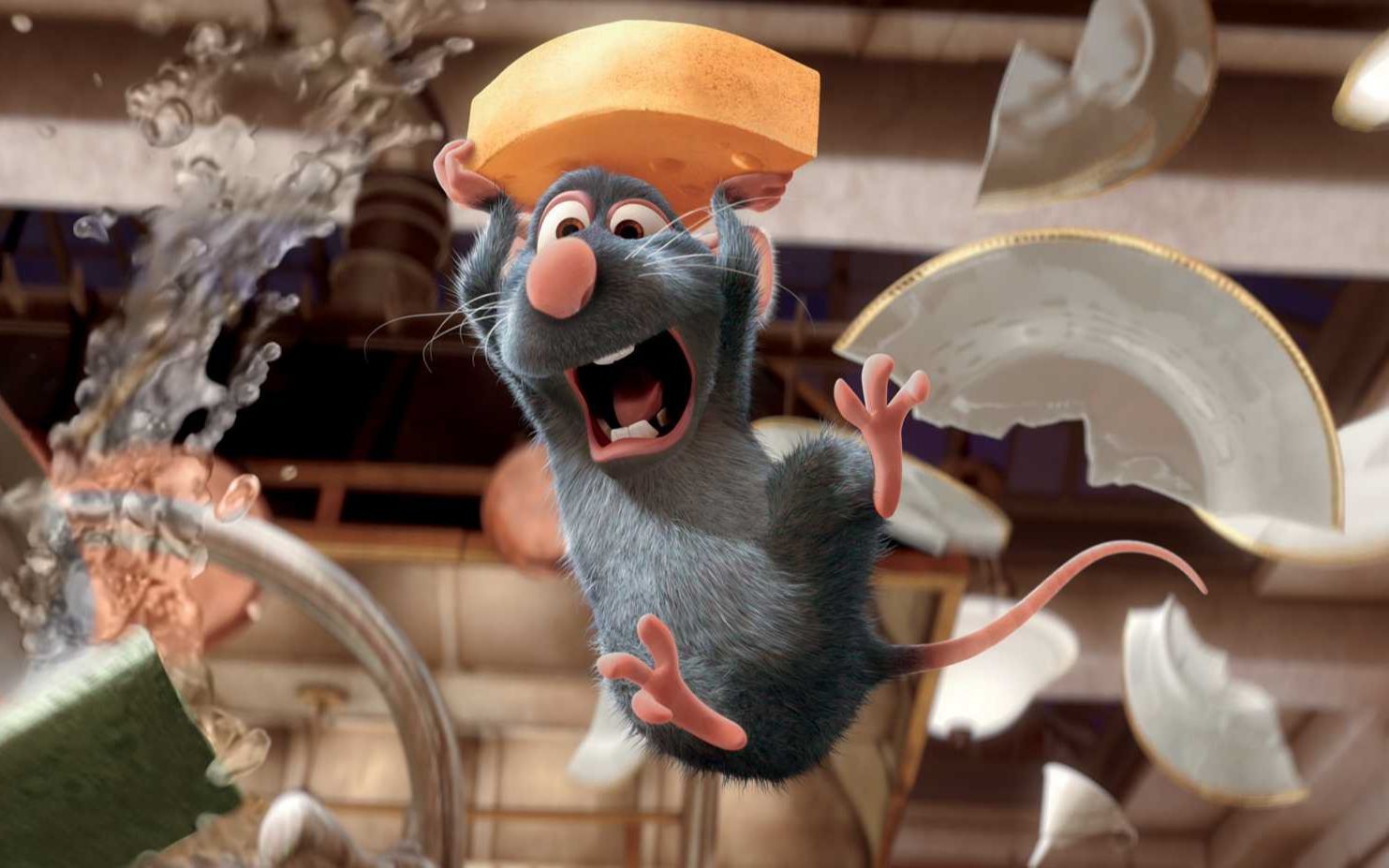 厨房里的老鼠可不仅仅是来偷东西的，有可能是位厨师