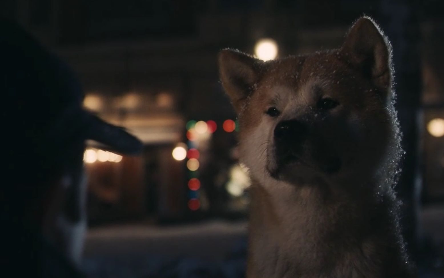 根据真实故事改编，一只狗狗用一生的等待，催泪电影《忠犬八公》