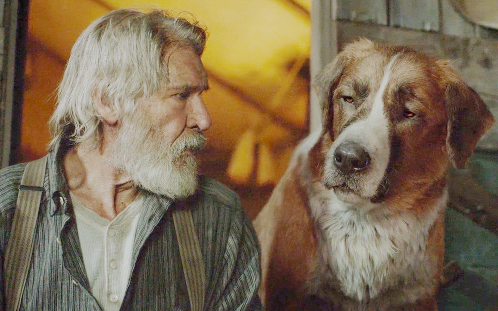 迪士尼又一温情电影，狗狗与汉·索洛的晚年退休生活